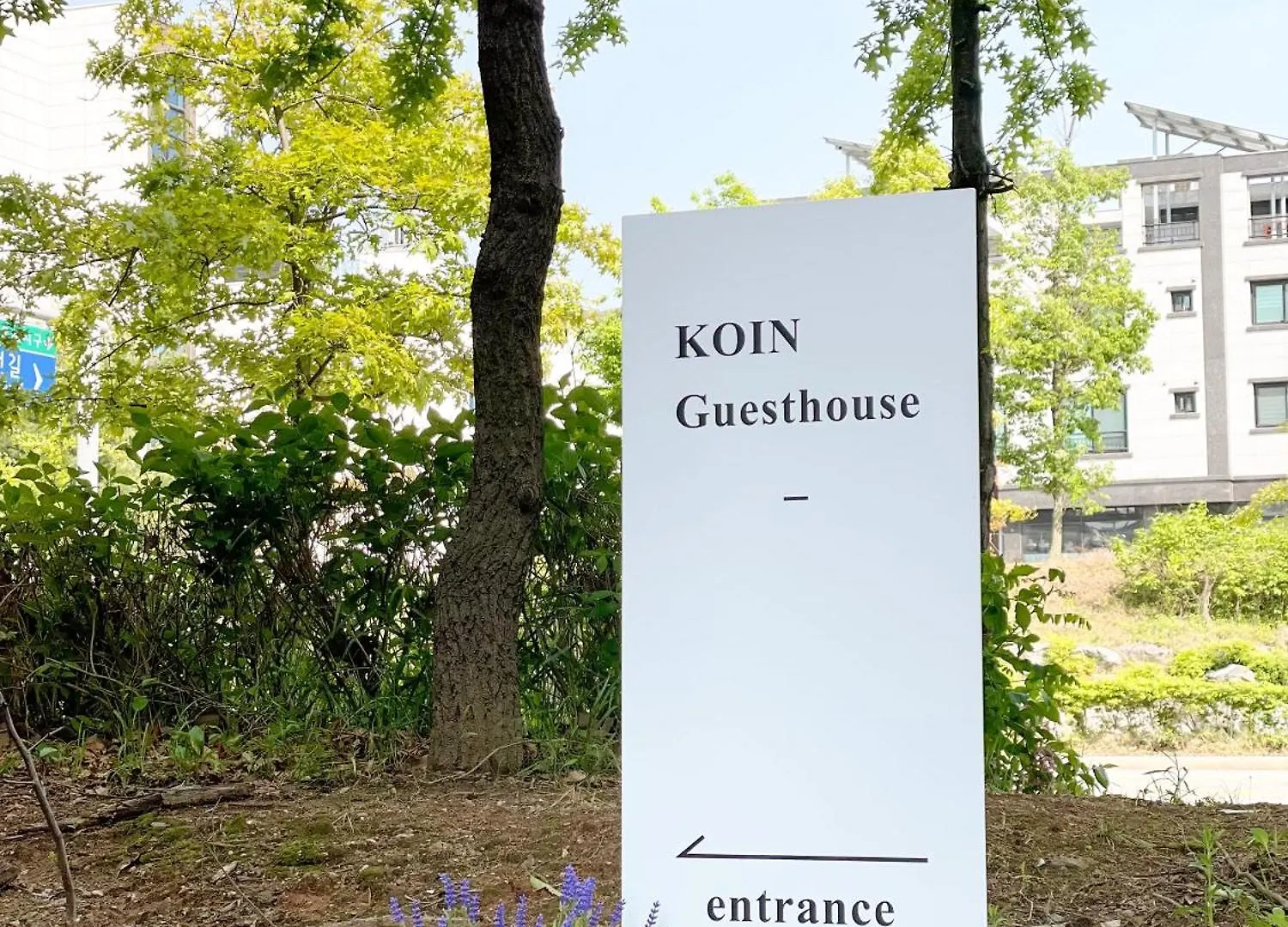 Гостевой дом Koin Guesthouse Incheon Airport Южная Корея